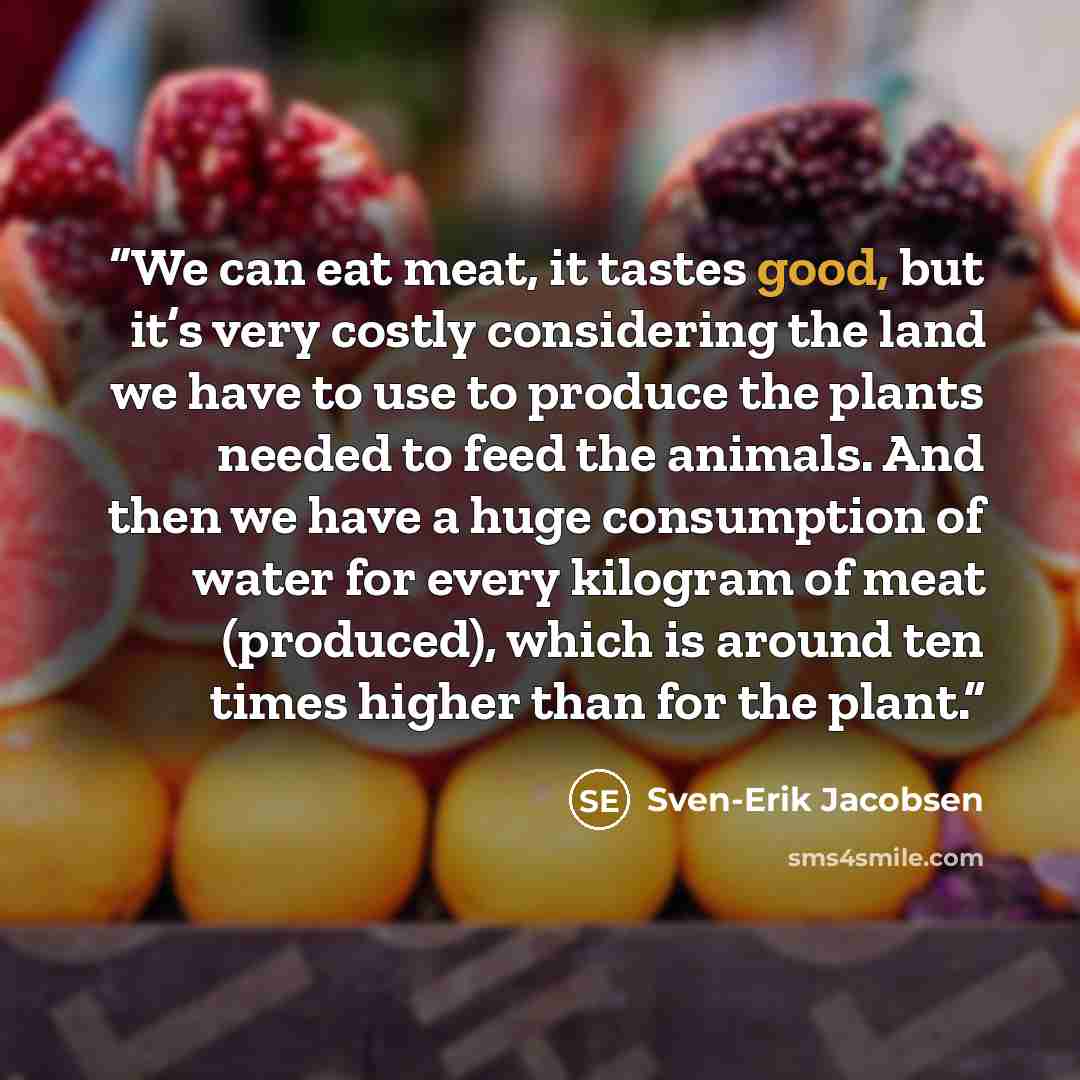 “We can eat meat, it tastes good, but it’s very costly considering the land we have to use to produce the plants needed to feed the animals. And then we have a huge consumption of water for every kilogram of meat (produced), which is around ten times higher than for the plant.” quote by Sven-Erik Jacobsen