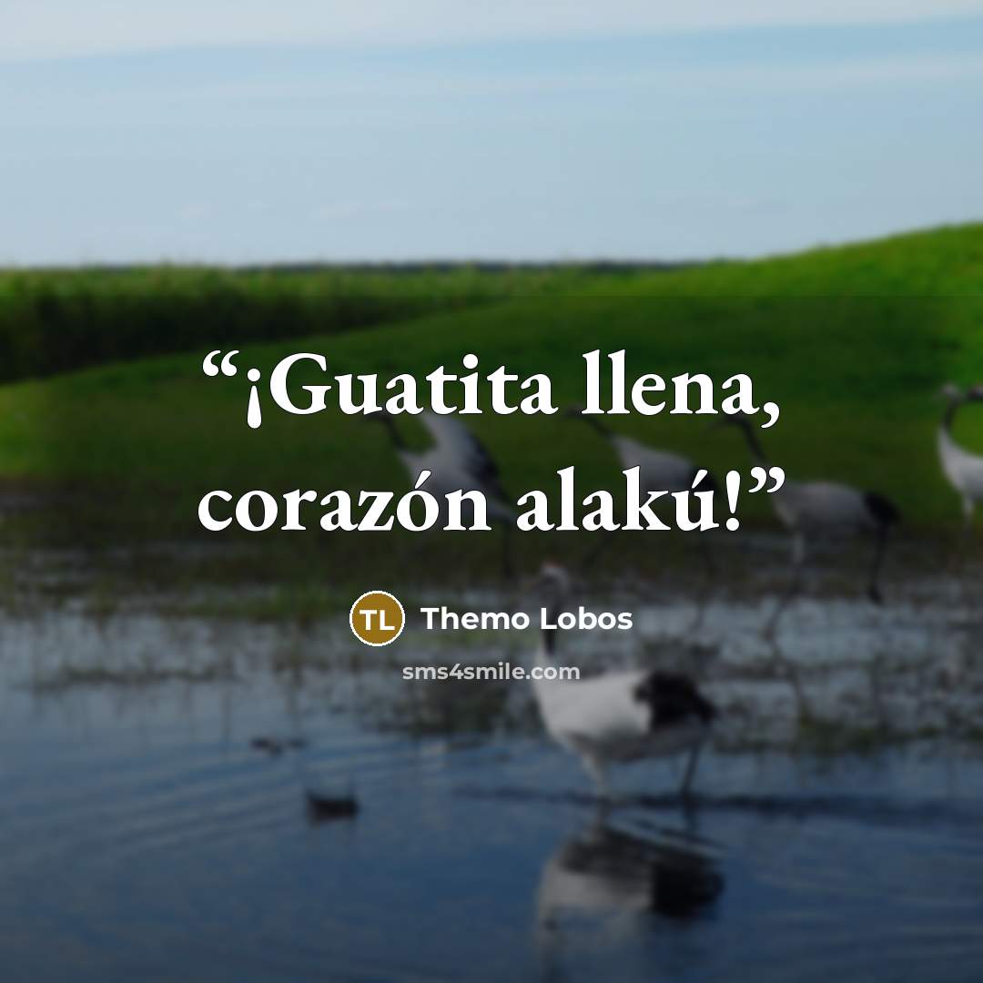 “¡Guatita llena, corazón alakú!” quote by Themo Lobos