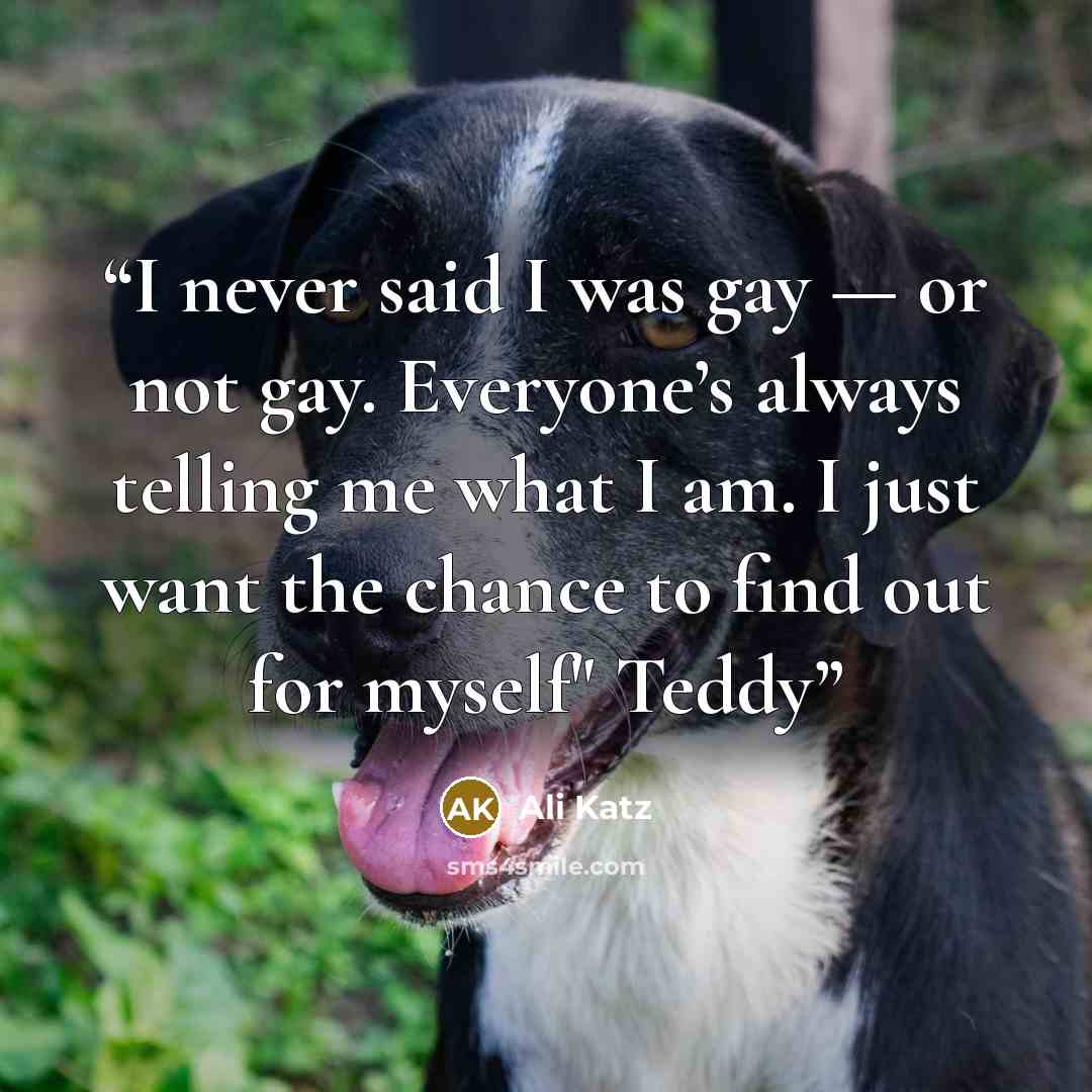“I never said I was gay — or not gay. Everyone’s always telling me what I am. I just want the chance to find out for myself" Teddy” quote by Ali Katz