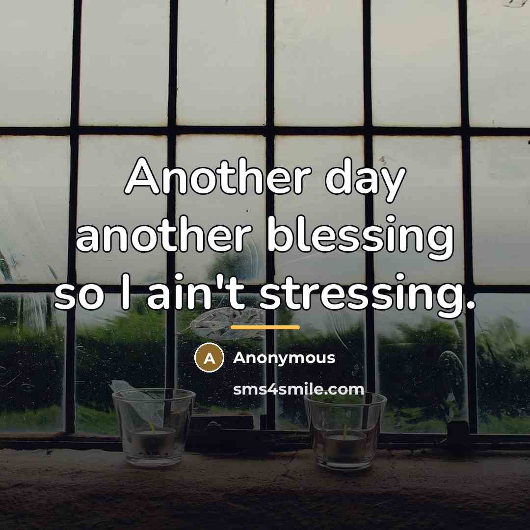 “Another day another blessing so I ain't stressing.…” quote by Anonymous