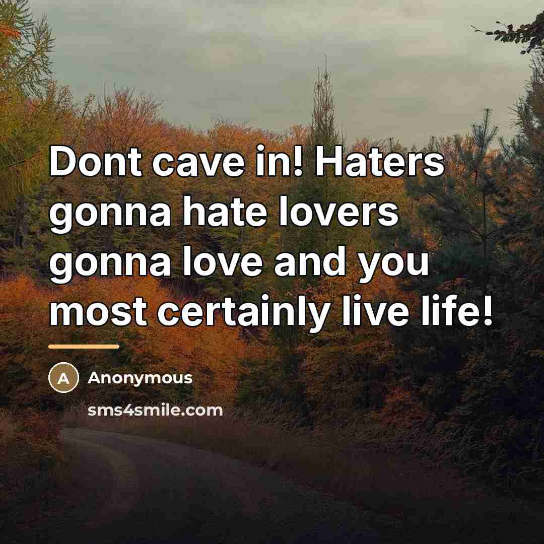 “Dont cave in! Haters gonna hate lovers gonna love and…” quote by Anonymous