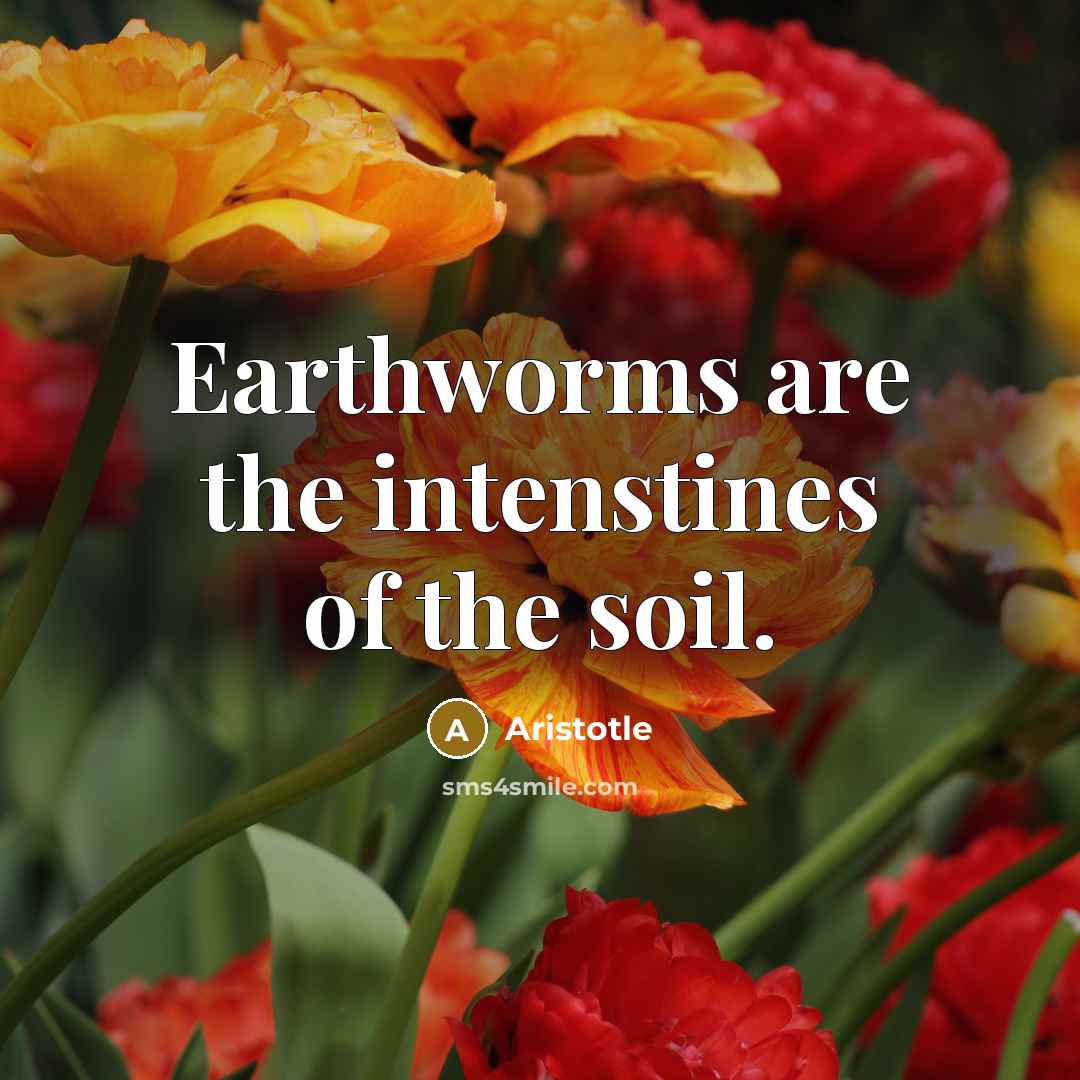 “Earthworms are the intenstines of the soil.…” quote by Aristotle