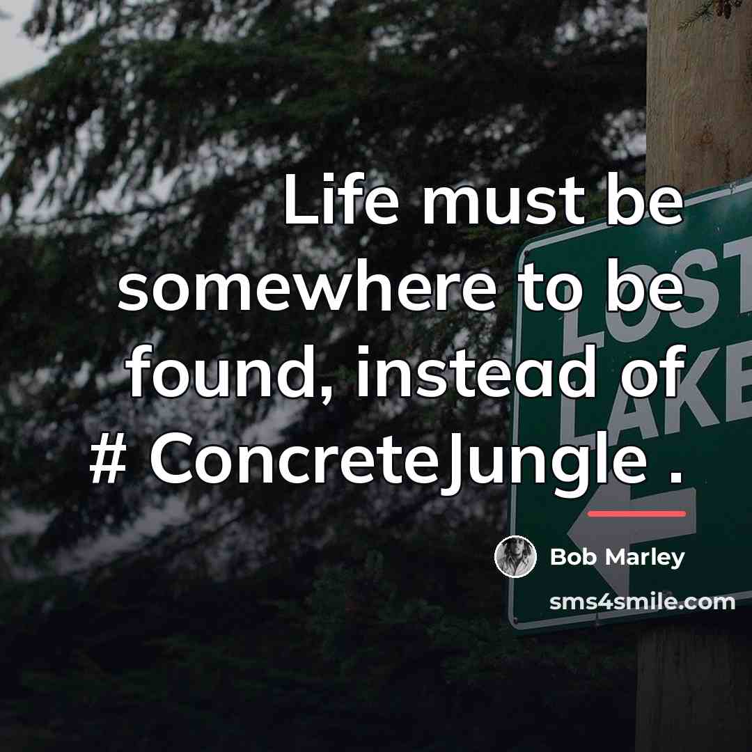 “Life must be somewhere to be found, instead of #‎…” quote by Bob Marley