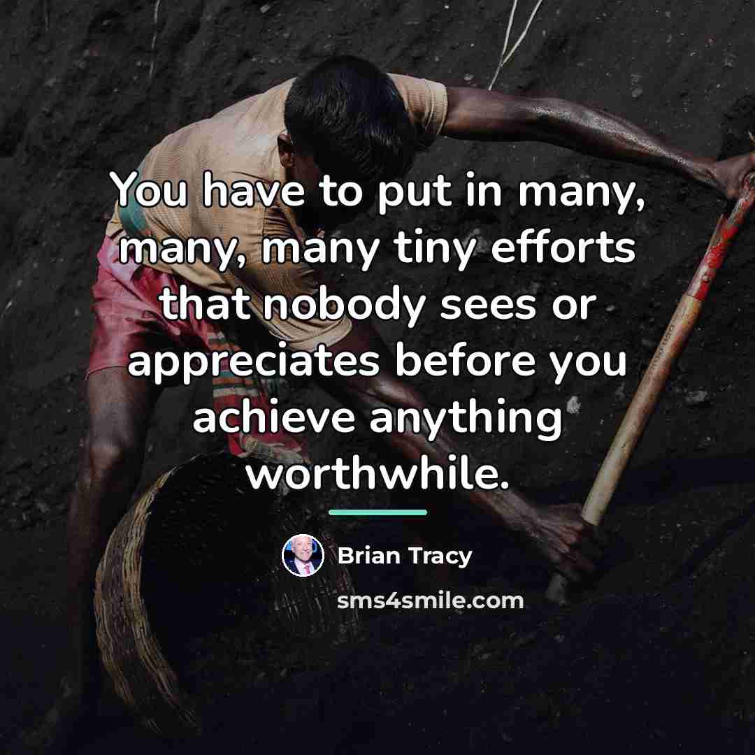 “You have to put in many, many, many tiny efforts…” quote by Brian Tracy
