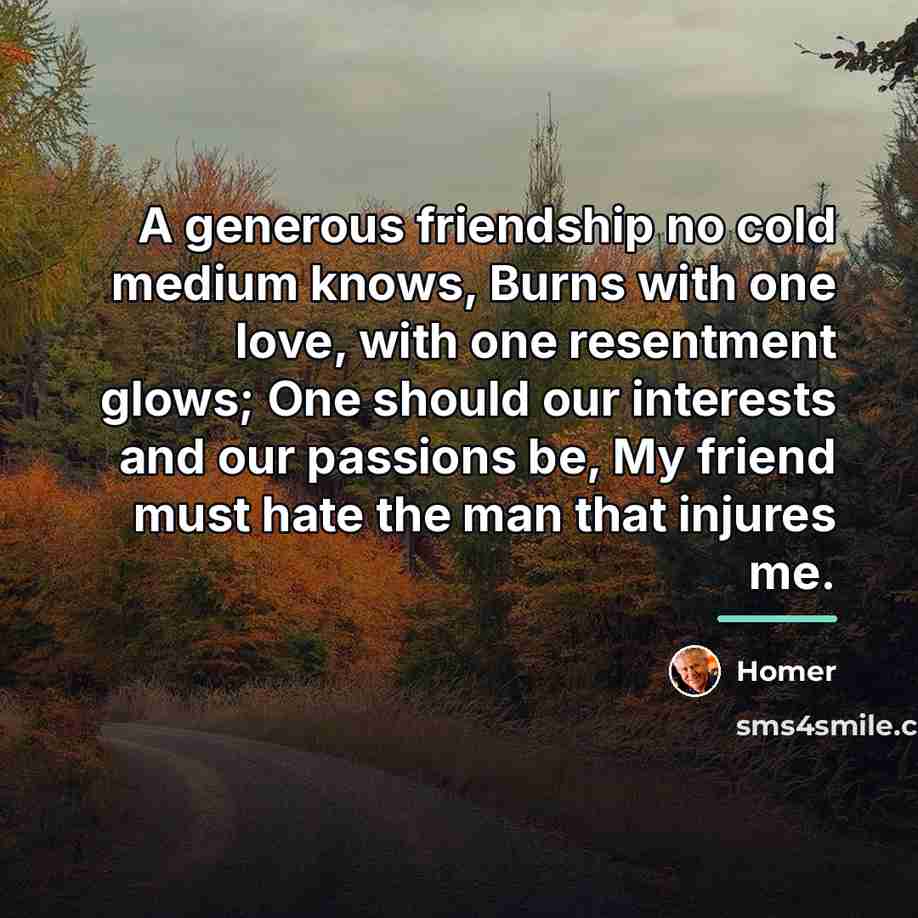 “A generous friendship no cold medium knows, Burns with one…” quote by Homer
