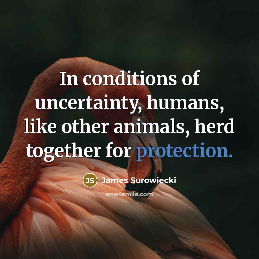“In conditions of uncertainty, humans, like other animals, herd together…” quote by James Surowiecki