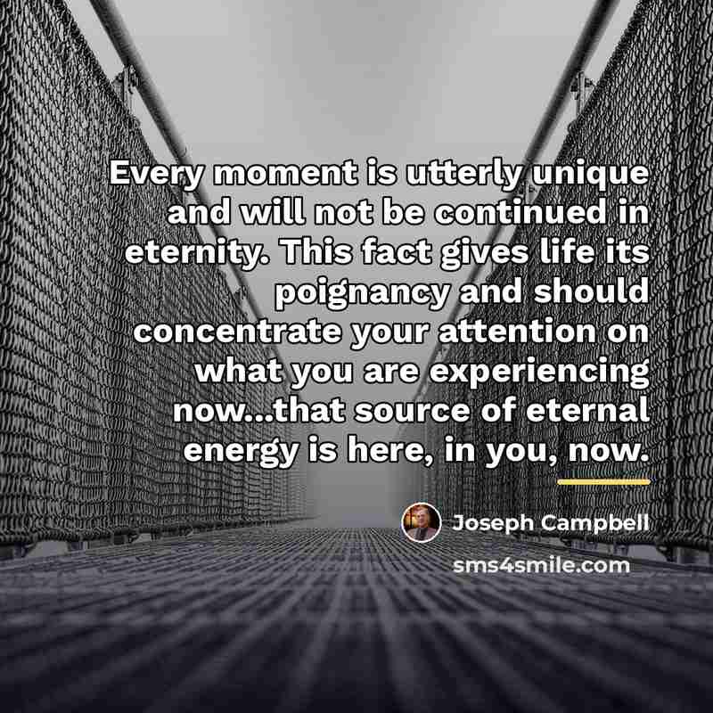 “Every moment is utterly unique and will not be continued…” quote by Joseph Campbell