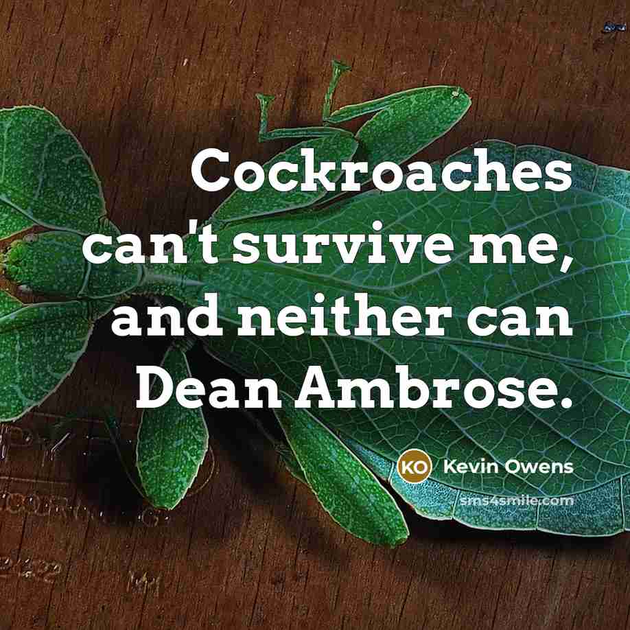 “Cockroaches can't survive me, and neither can Dean Ambrose.…” quote by Kevin Owens