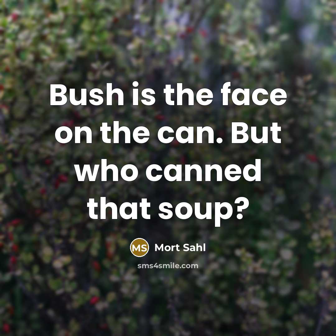 “Bush is the face on the can. But who canned that soup?” quote by Mort Sahl