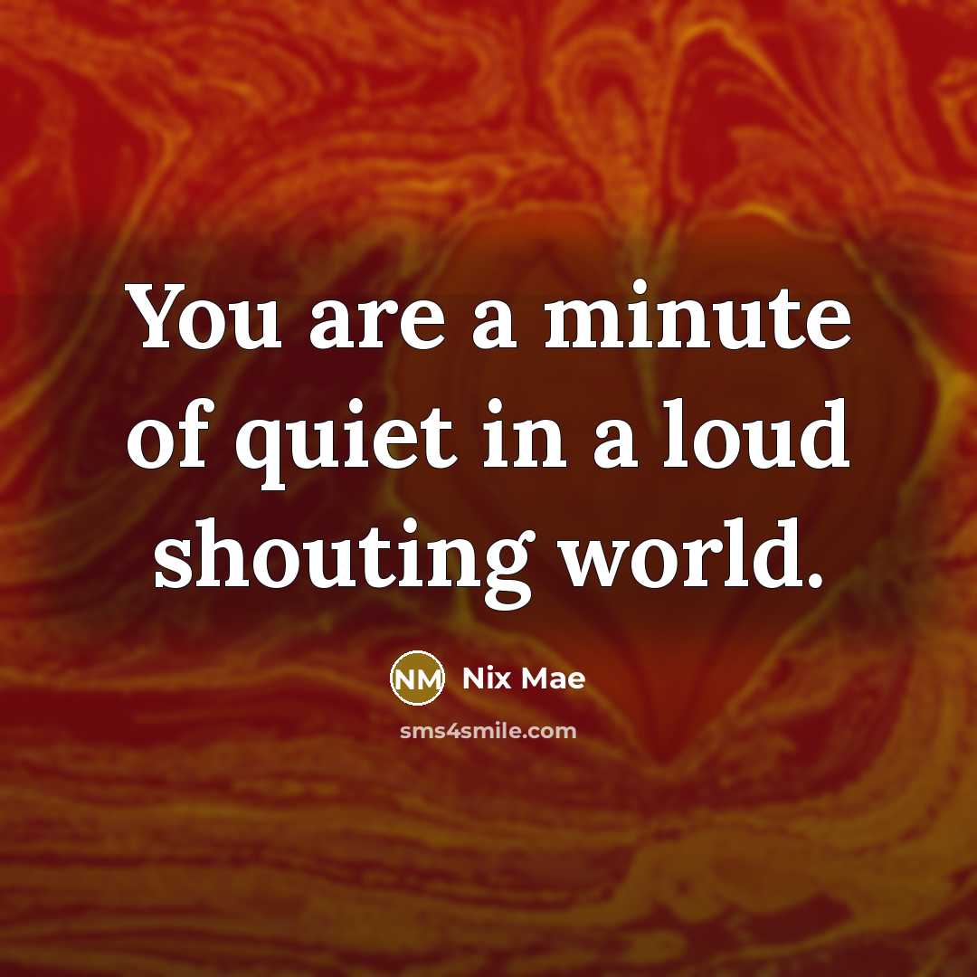 “You are a minute of quiet in a loud shouting…” quote by Nix Mae
