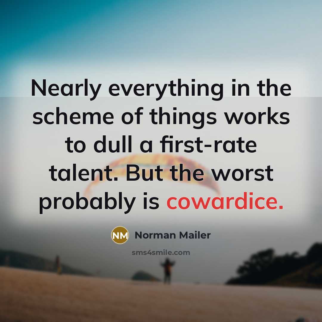 “Nearly everything in the scheme of things works to dull…” quote by Norman Mailer