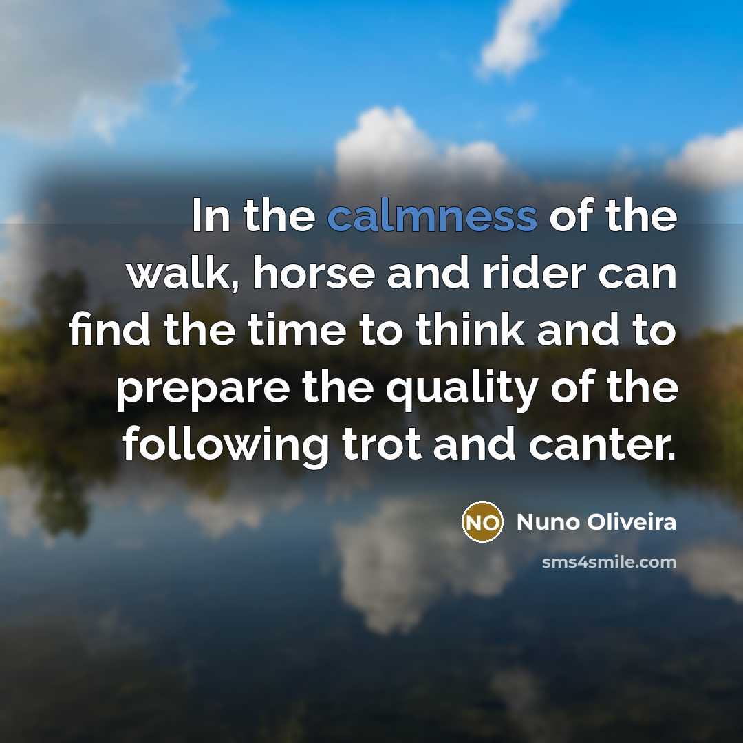 “In the calmness of the walk, horse and rider can…” quote by Nuno Oliveira