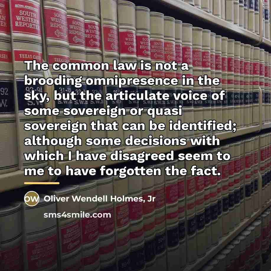 “The common law is not a brooding omnipresence in the…” quote by Oliver Wendell Holmes, Jr
