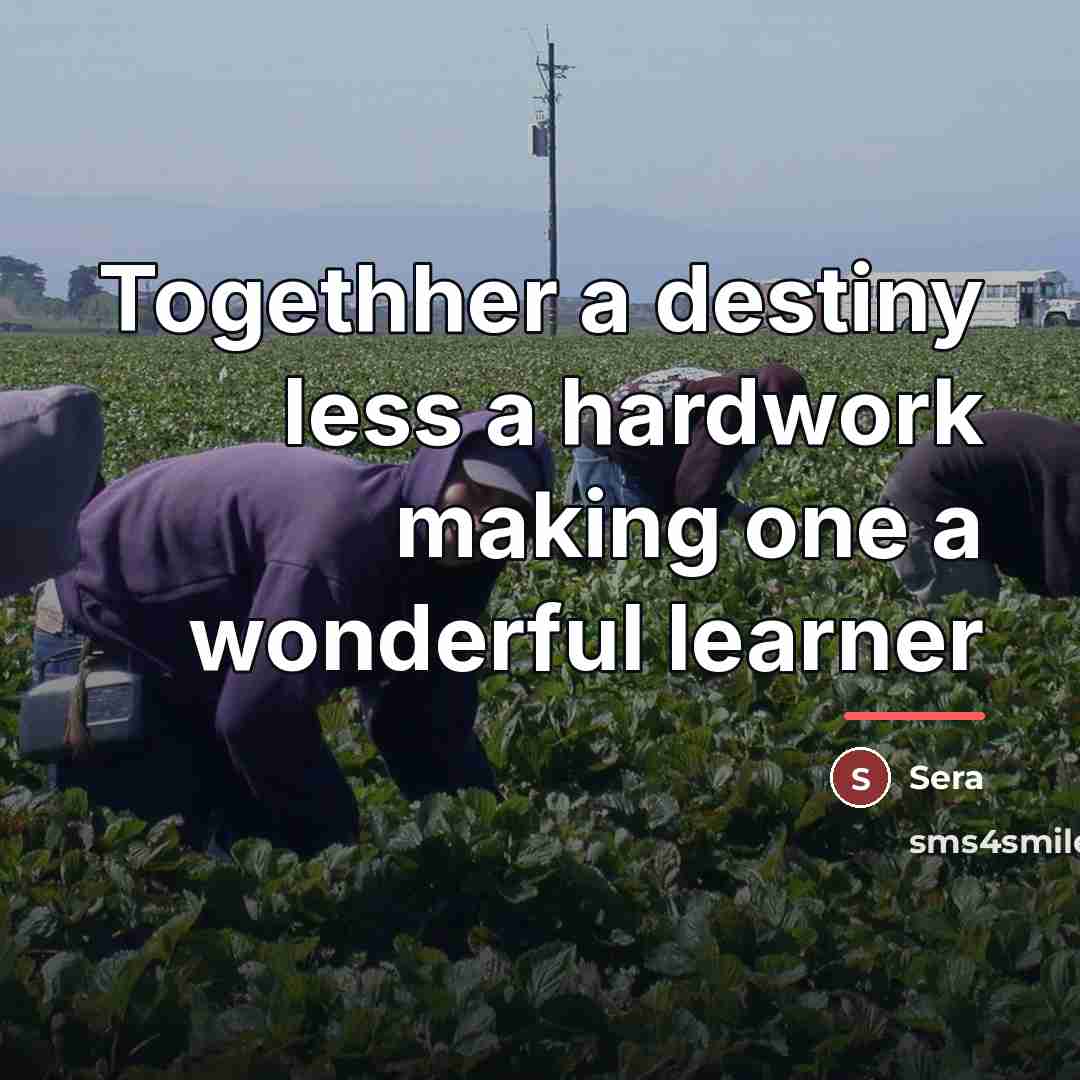 “Togethher a destiny less a hardwork making one a wonderful…” quote by Sera