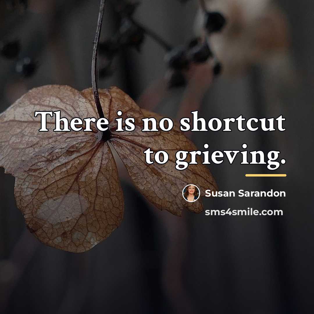 “There is no shortcut to grieving.…” quote by Susan Sarandon