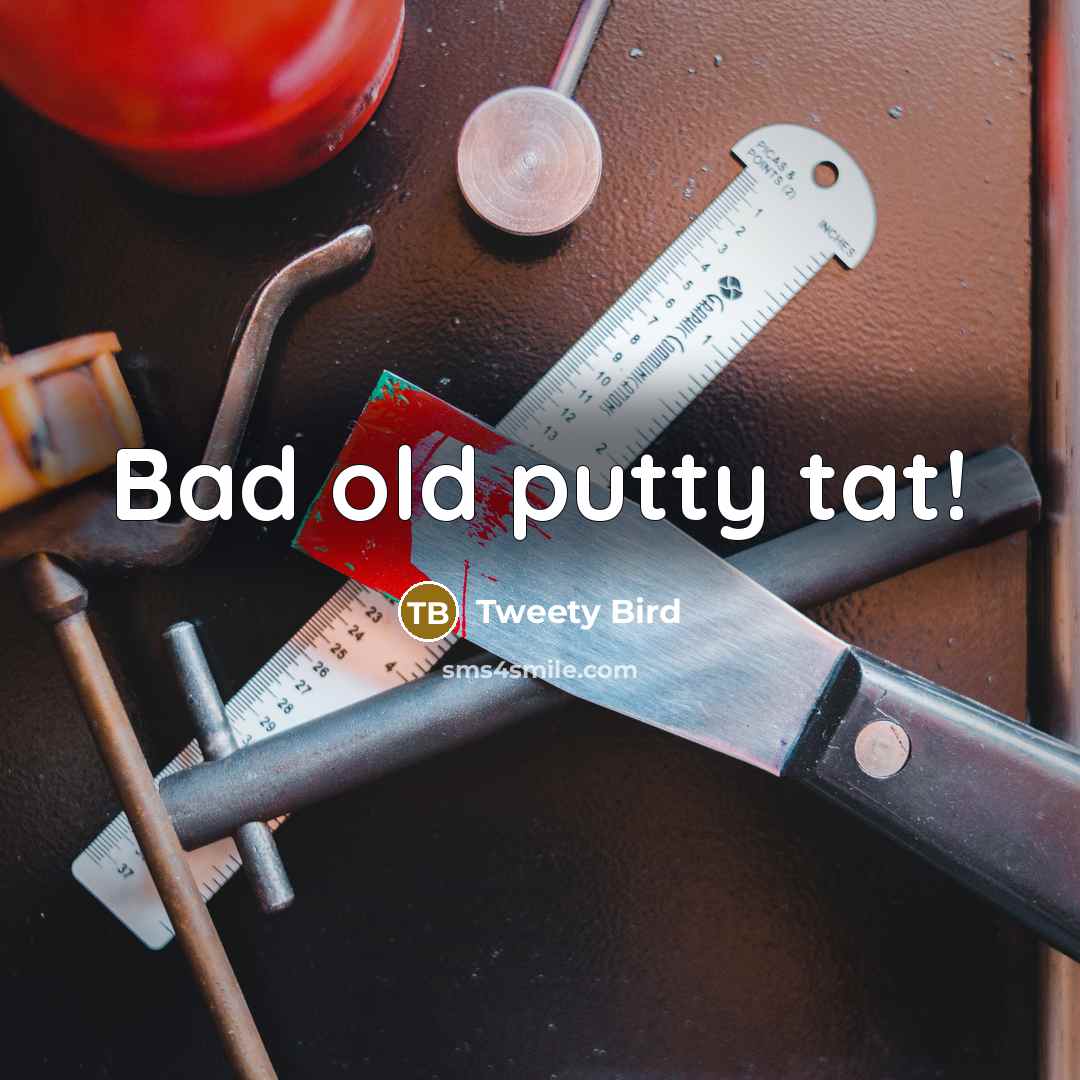 “Bad old putty tat!…” quote by Tweety Bird