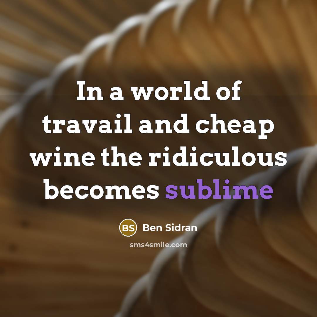 “In a world of travail and cheap wine the ridiculous becomes sublime” quote by Ben Sidran
