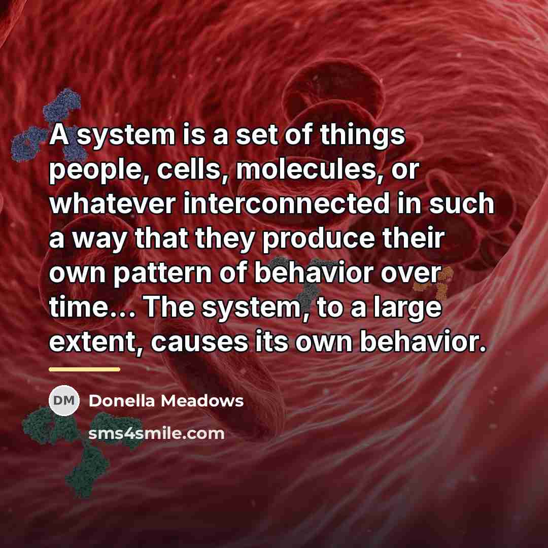 “A system is a set of things people, cells, molecules,…” quote by Donella Meadows