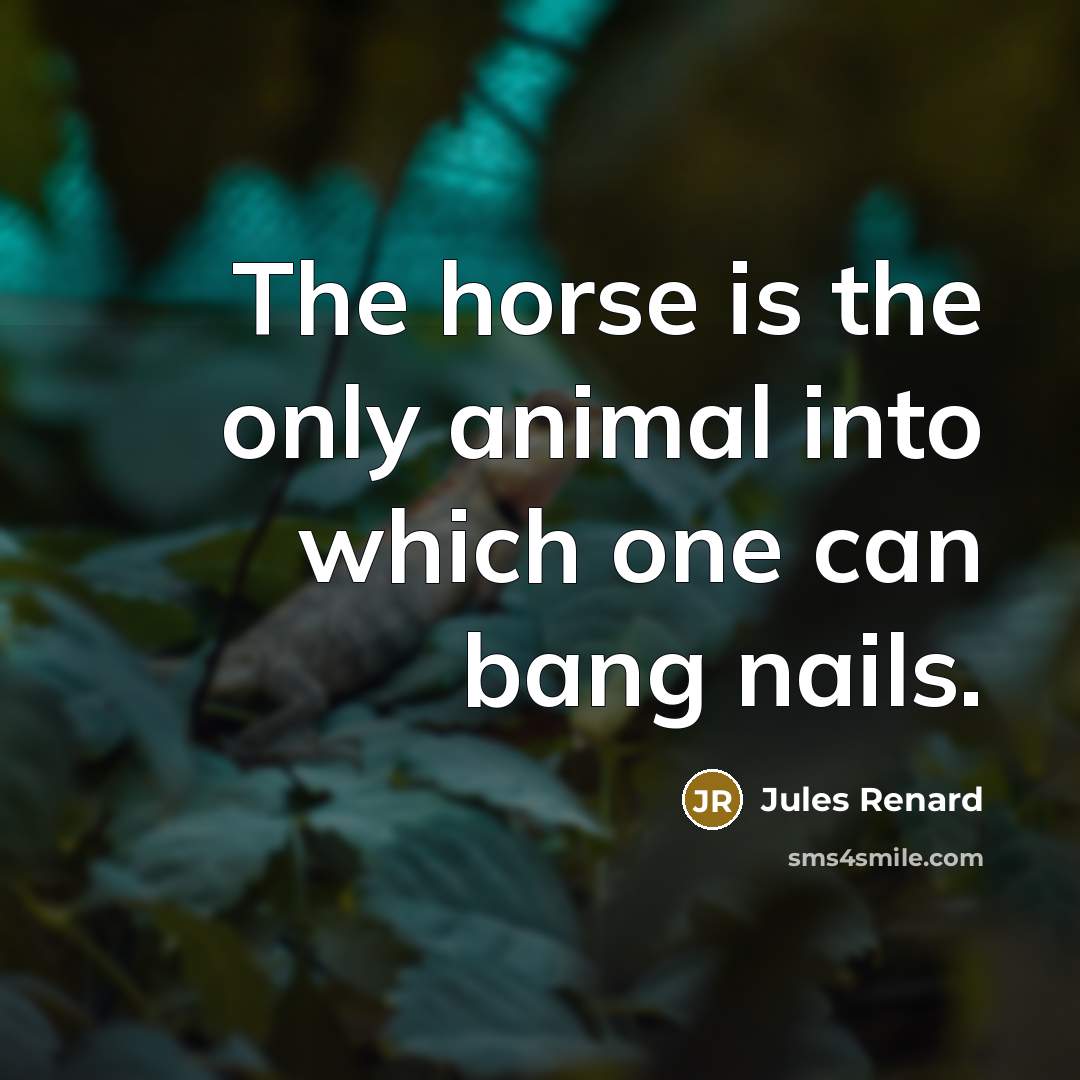“The horse is the only animal into which one can…” quote by Jules Renard