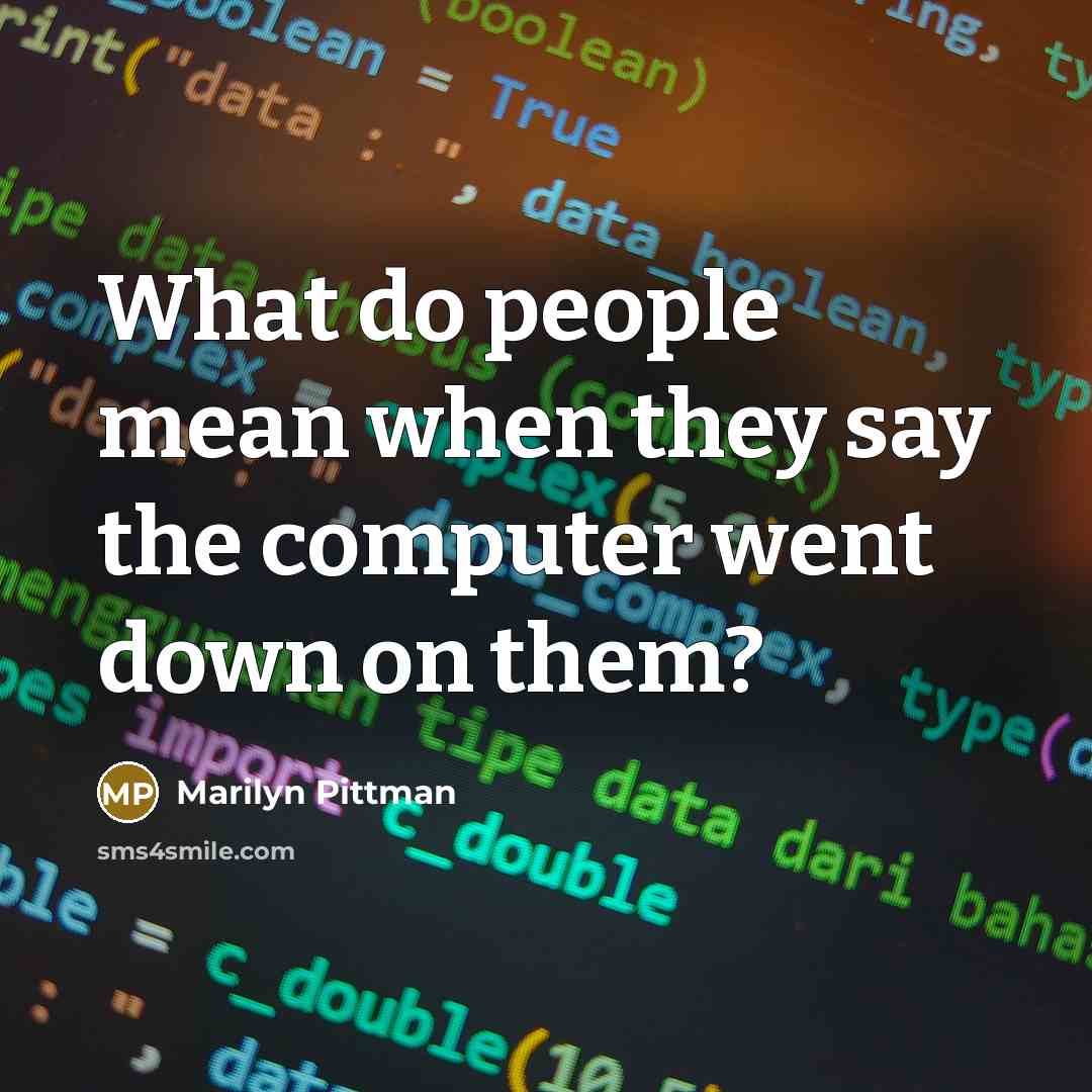 “What do people mean when they say the computer went…” quote by Marilyn Pittman