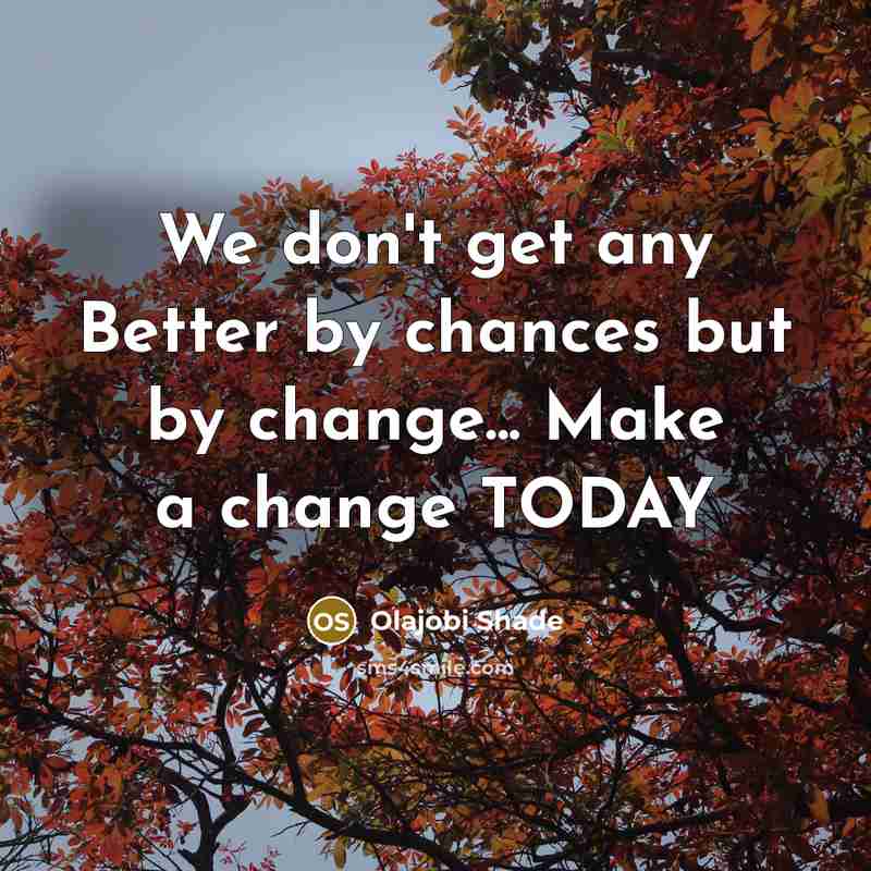 “We don't get any Better by chances but by change...…” quote by Olajobi Shade
