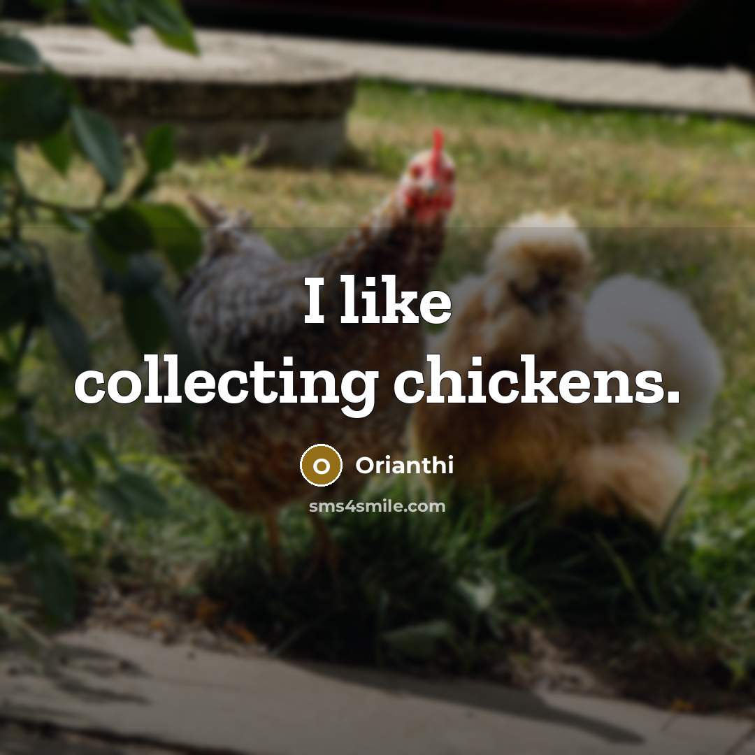 “I like collecting chickens.…” quote by Orianthi