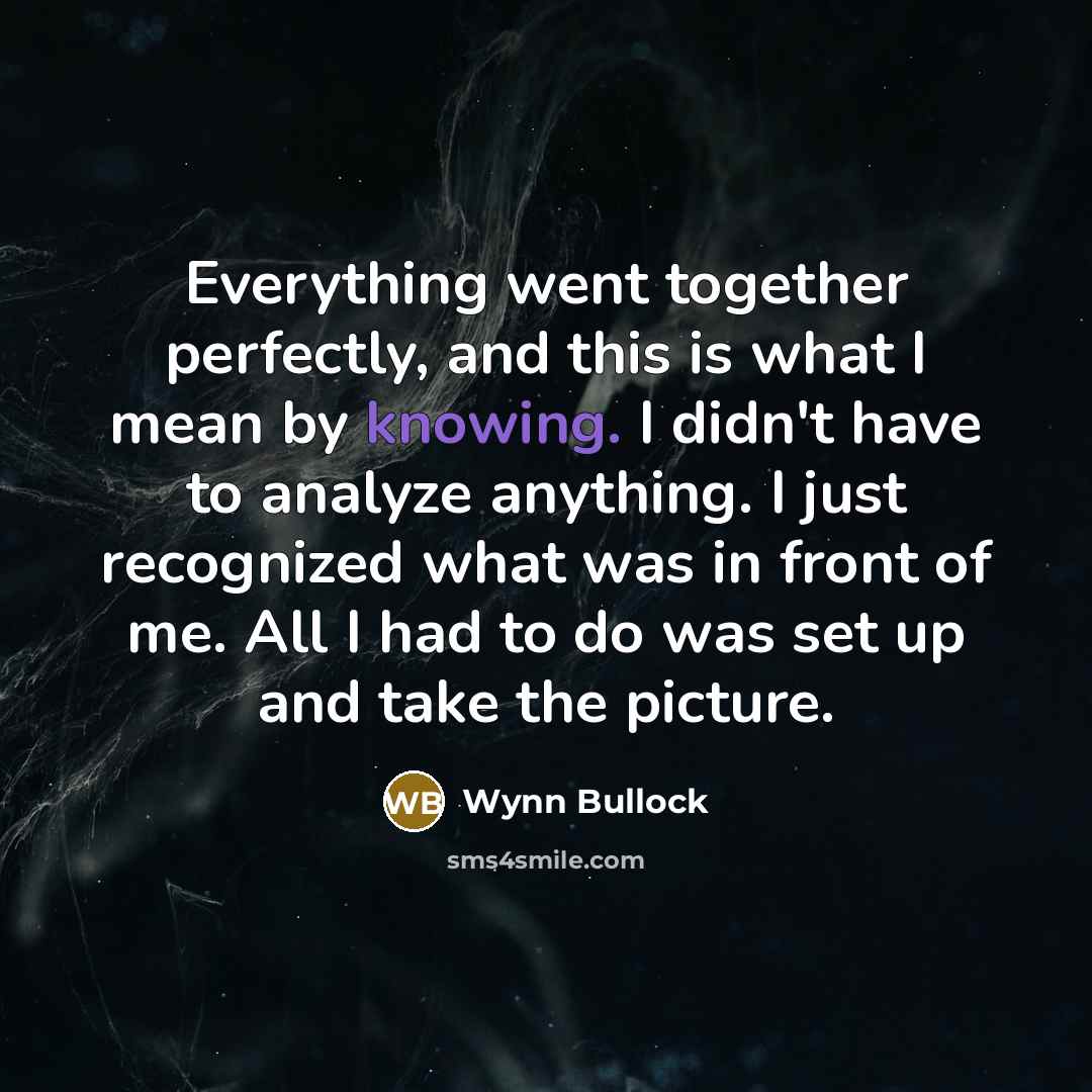 “Everything went together perfectly, and this is what I mean…” quote by Wynn Bullock