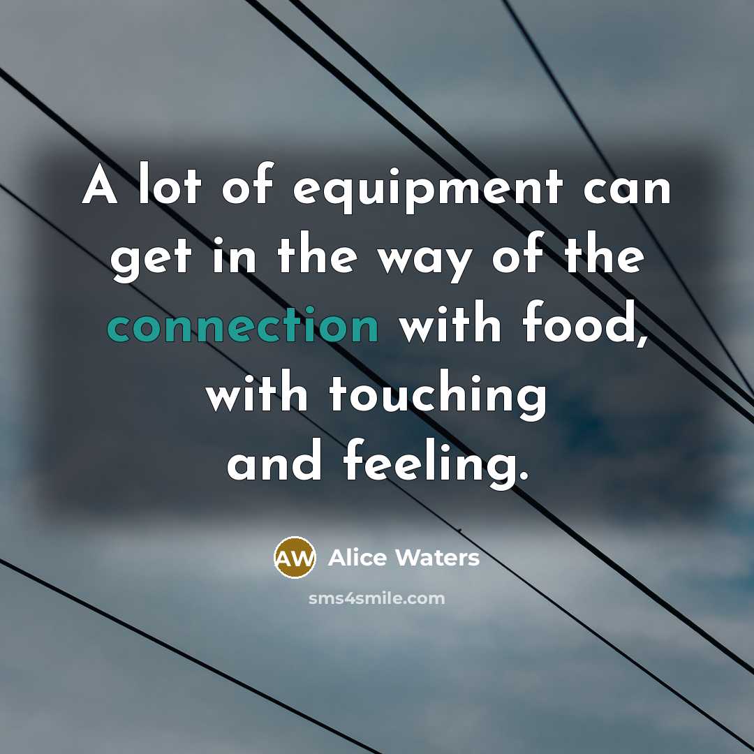 “A lot of equipment can get in the way of…” quote by Alice Waters