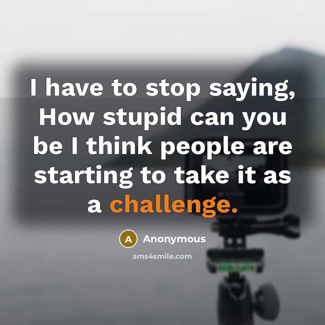 “I have to stop saying, How stupid can you be I think people are starting to take it as a challenge.” quote by Anonymous