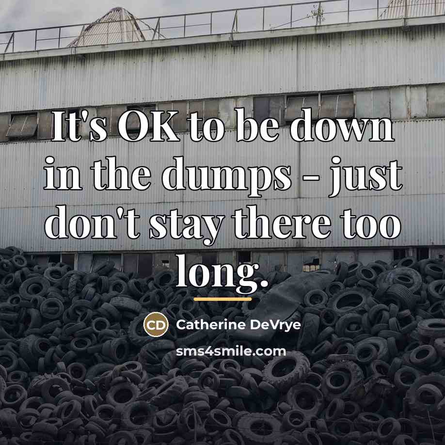 “It's OK to be down in the dumps - just…” quote by Catherine DeVrye