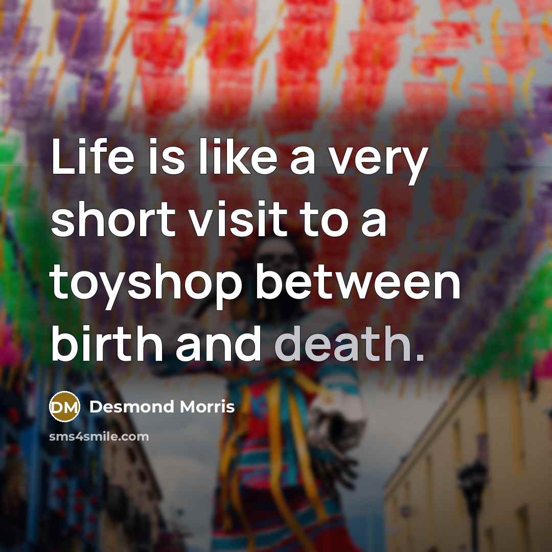 “Life is like a very short visit to a toyshop…” quote by Desmond Morris