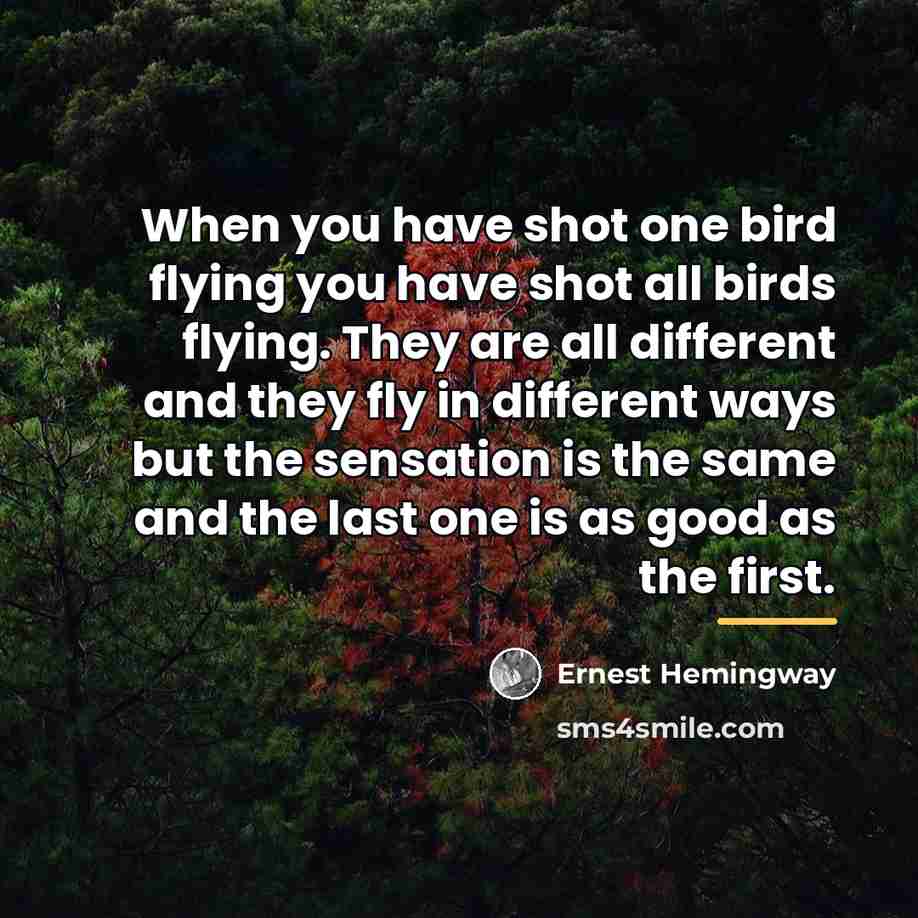 “When you have shot one bird flying you have shot…” quote by Ernest Hemingway