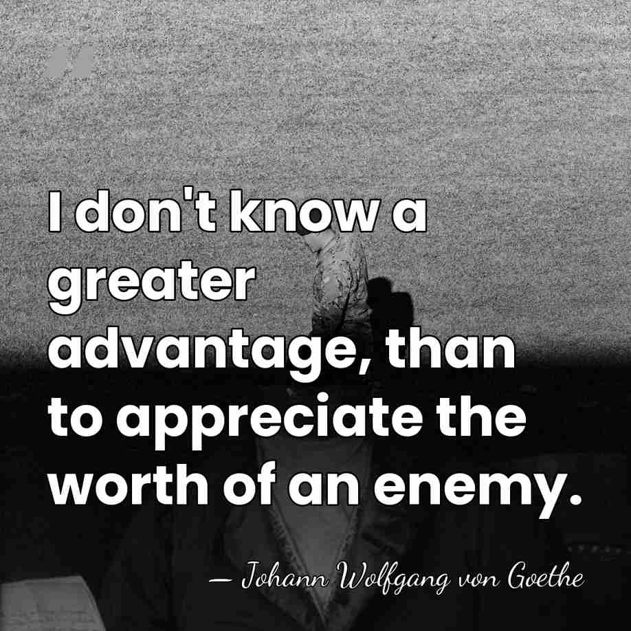 I don't know a greater advantage, than to appreciate the worth of&hellip; - Johann Wolfgang von Goethe