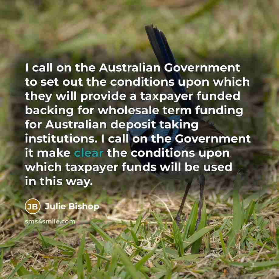 “I call on the Australian Government to set out the…” quote by Julie Bishop