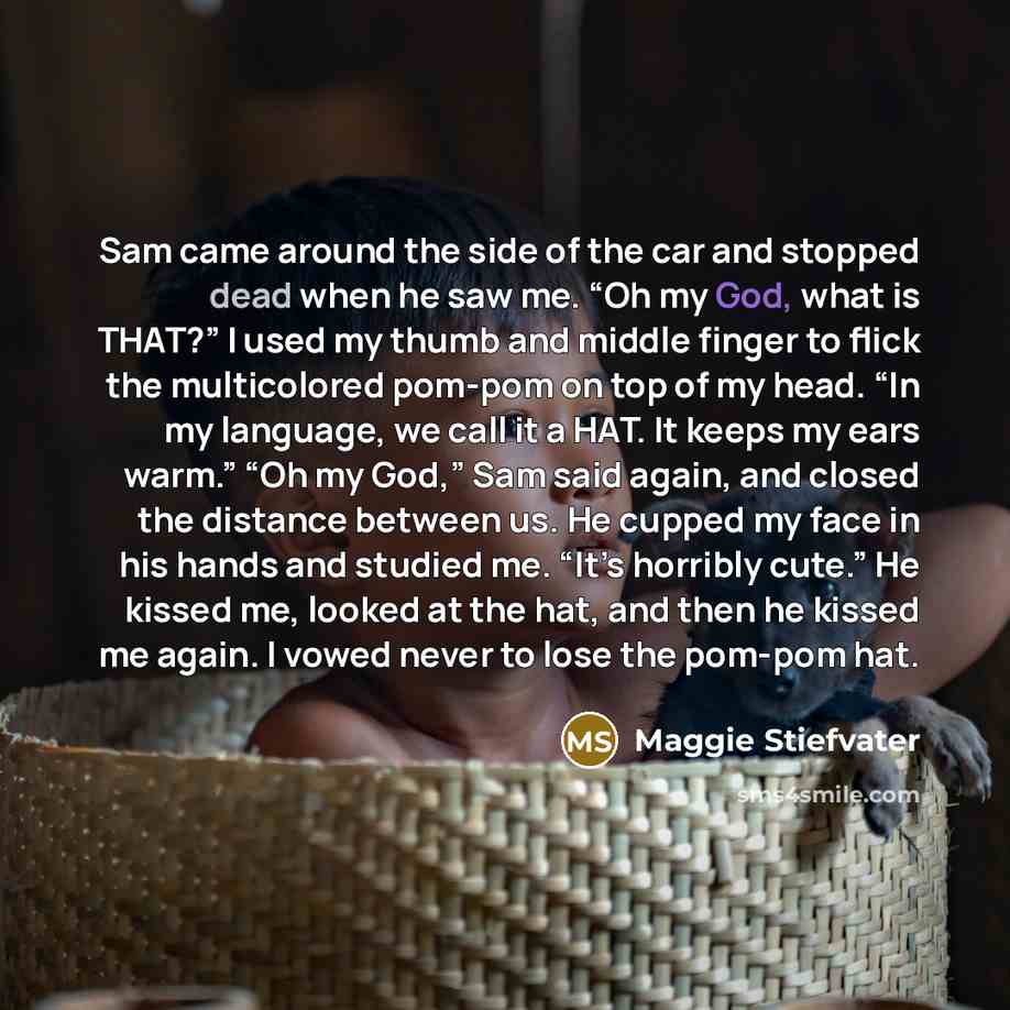 “Sam came around the side of the car and stopped…” quote by Maggie Stiefvater