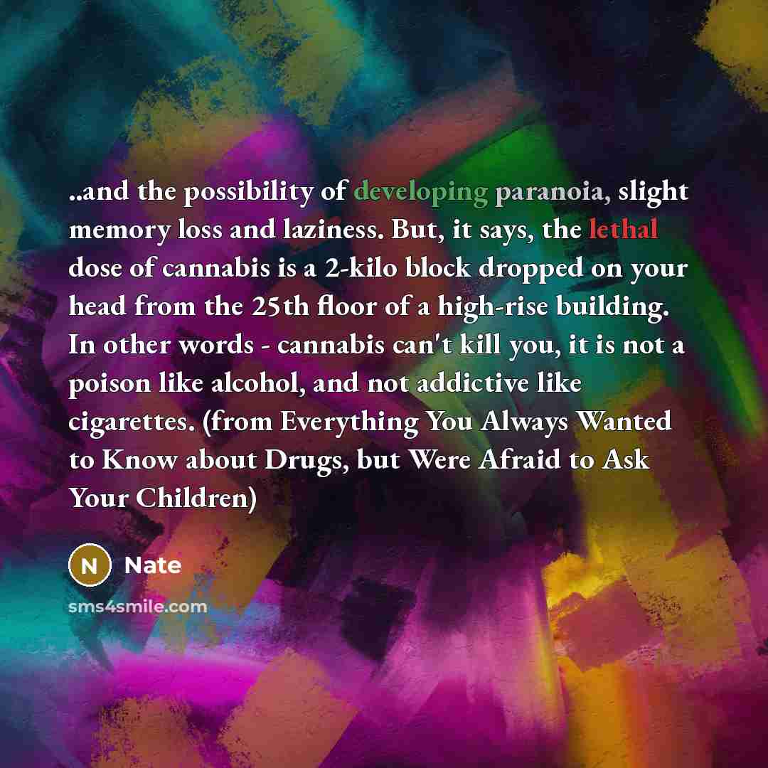 “..and the possibility of developing paranoia, slight memory loss and laziness. But, it says, the lethal dose of cannabis is a 2-kilo block dropped on your head from the 25th floor of a high-rise building. In other words - cannabis can't kill you, it is not a poison like alcohol, and not addictive…” quote by Nate