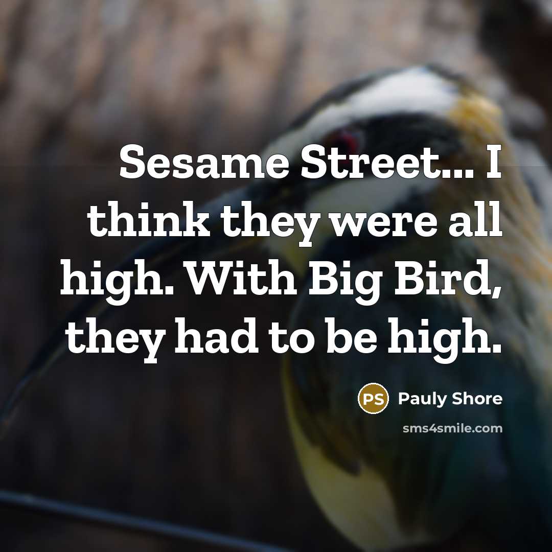 “Sesame Street... I think they were all high. With Big…” quote by Pauly Shore