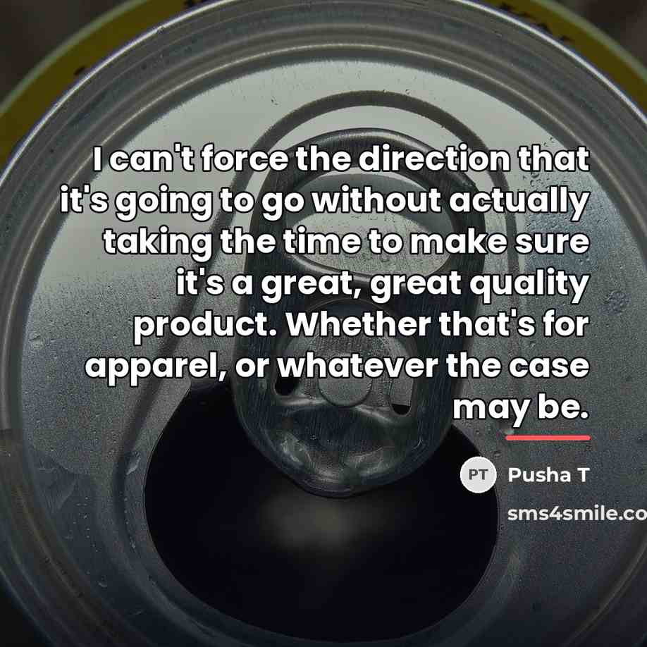 “I can't force the direction that it's going to go…” quote by Pusha T