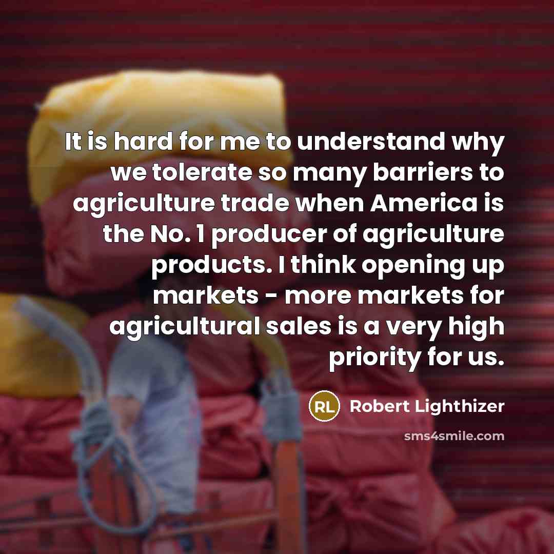 “It is hard for me to understand why we tolerate…” quote by Robert Lighthizer