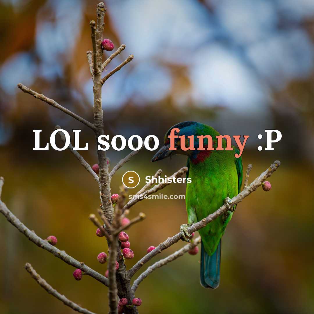 “LOL sooo funny :P” quote by Shhisters