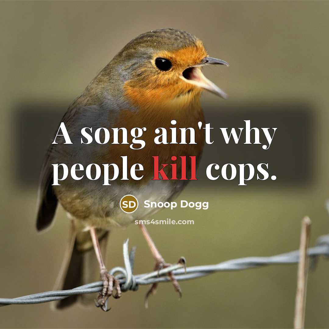 “A song ain't why people kill cops.…” quote by Snoop Dogg
