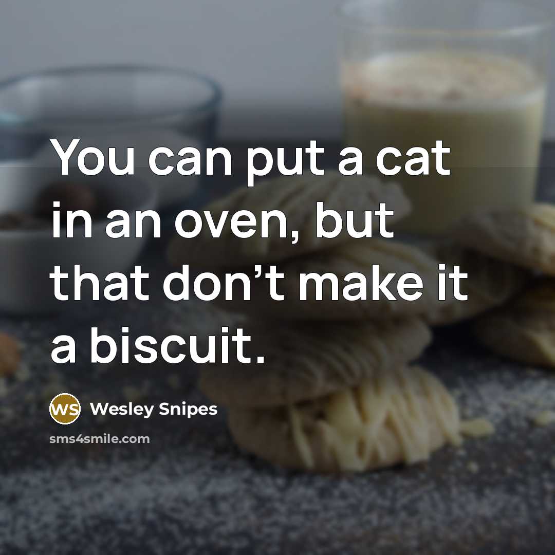 “You can put a cat in an oven, but that…” quote by Wesley Snipes