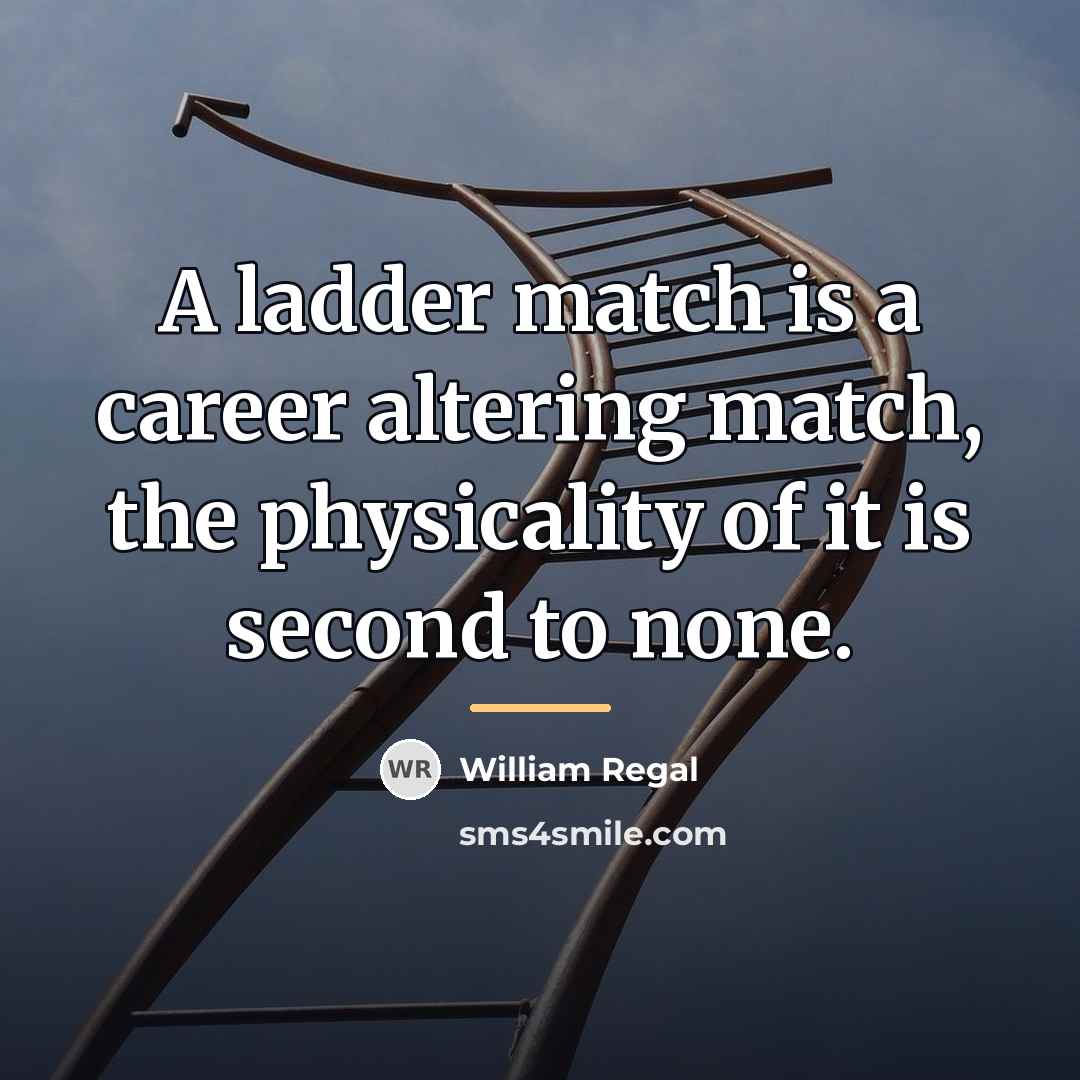 “A ladder match is a career altering match, the physicality…” quote by William Regal