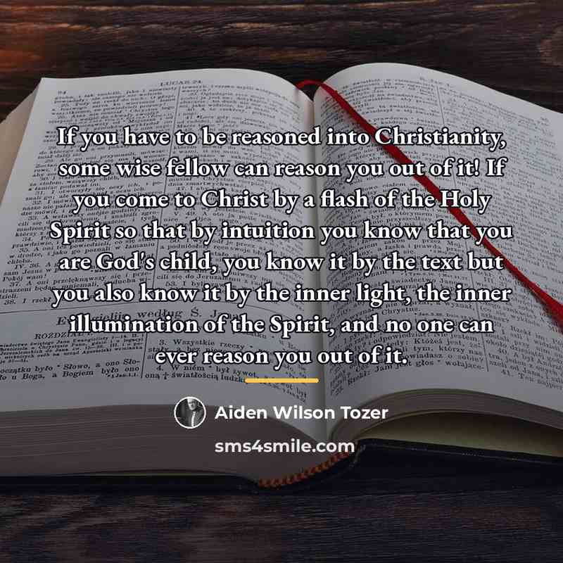 “If you have to be reasoned into Christianity, some wise…” quote by Aiden Wilson Tozer