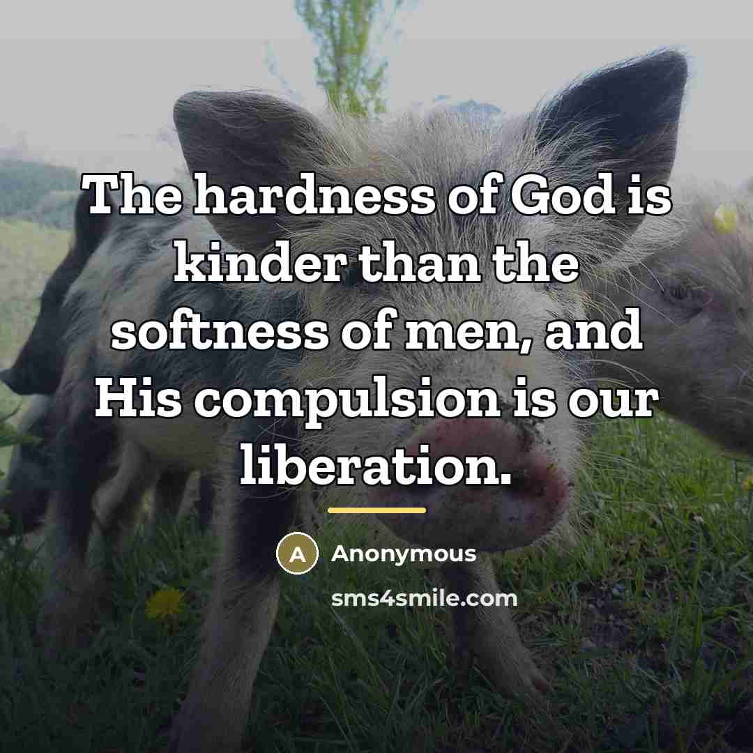 “The hardness of God is kinder than the softness of…” quote by Anonymous