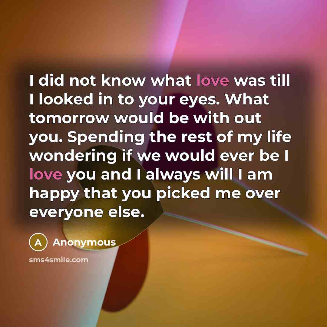 “I did not know what love was till I looked in to your eyes. What tomorrow would be with out you. Spending the rest of my life wondering if we would ever be I love you and I always will I am happy that you picked me over everyone else.” quote by Anonymous