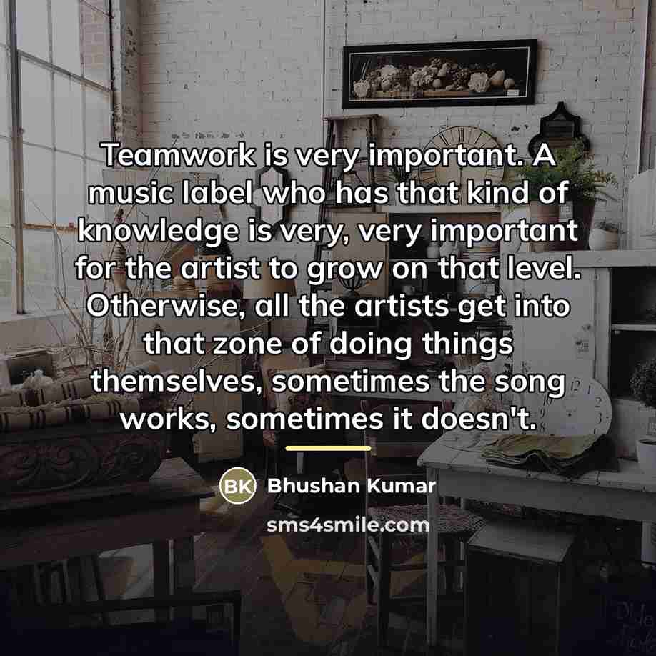 “Teamwork is very important. A music label who has that…” quote by Bhushan Kumar
