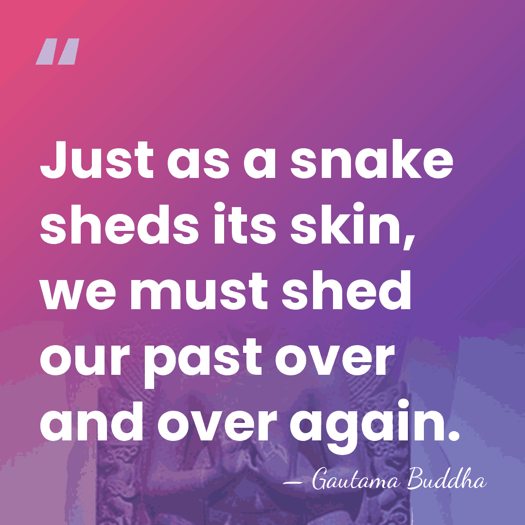 Just as a snake sheds its skin, we must shed our past&hellip; - Gautama Buddha