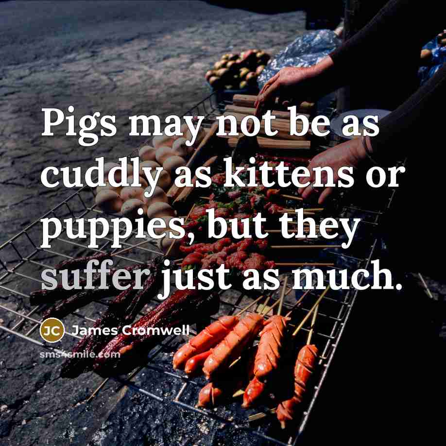 “Pigs may not be as cuddly as kittens or puppies,…” quote by James Cromwell