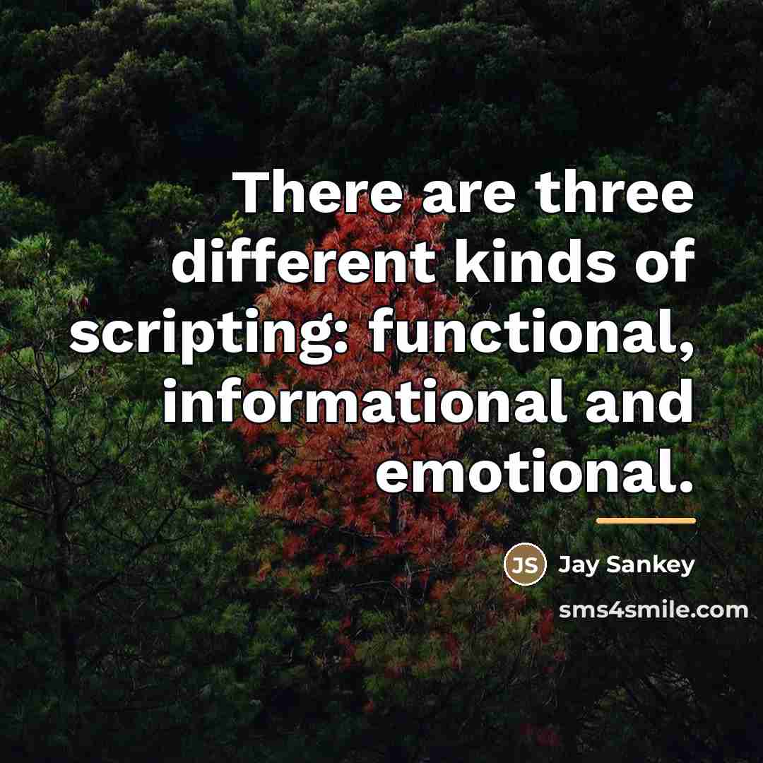 “There are three different kinds of scripting: functional, informational and…” quote by Jay Sankey